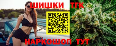 мдпв Гусев