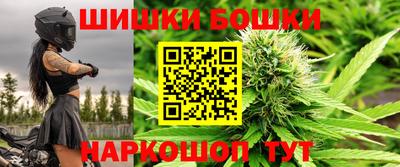 мдпв Гусев