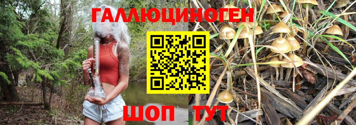 Галлюциногенные грибы мухоморы Мыски