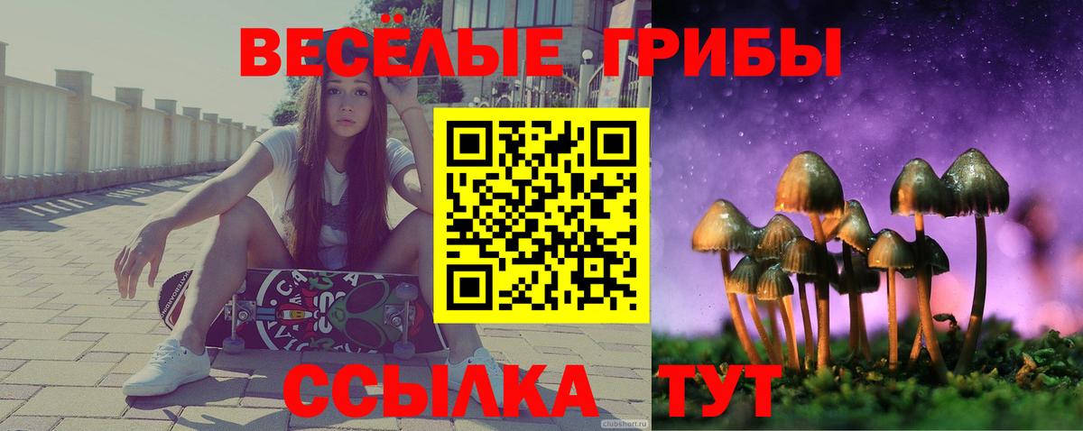 Мыски  что такое   Галлюциногенные грибы Psilocybine cubensis  Вход с VPN  Псилоцибиновые грибы Psilocybe 